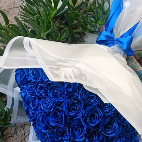 گل رزروبانی آبی