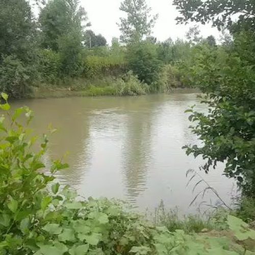 1001.67متر مربع زمین