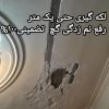 گچکار.سفیدکار.لکه گیری.گچ کاری