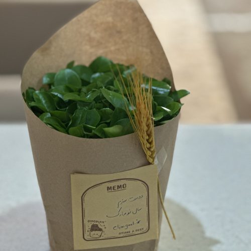 سبزه بهار نارنج