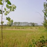 زمین مناسب برای ویلا