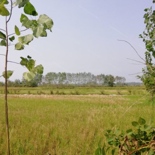 زمین مناسب برای ویلا