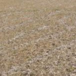 درود بر شما زمین جهت سوله لوکیشن خوب دسترسی خوب معامله ویژه