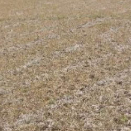 درود بر شما زمین جهت سوله لوکیشن خوب دسترسی خوب معامله ویژه