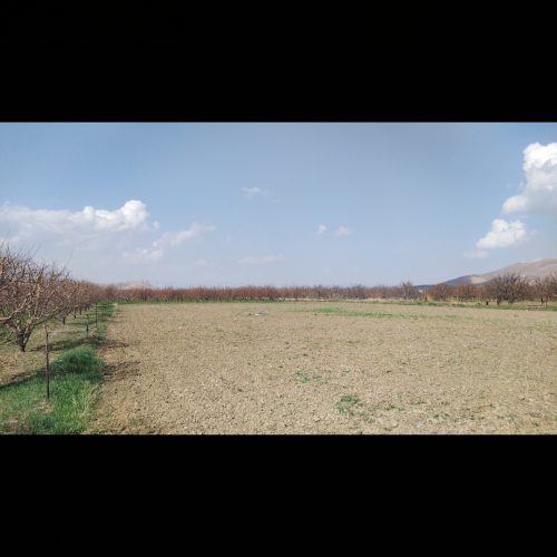 اجاره زمین کشاورزی