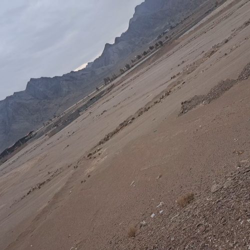 زمین و باغ