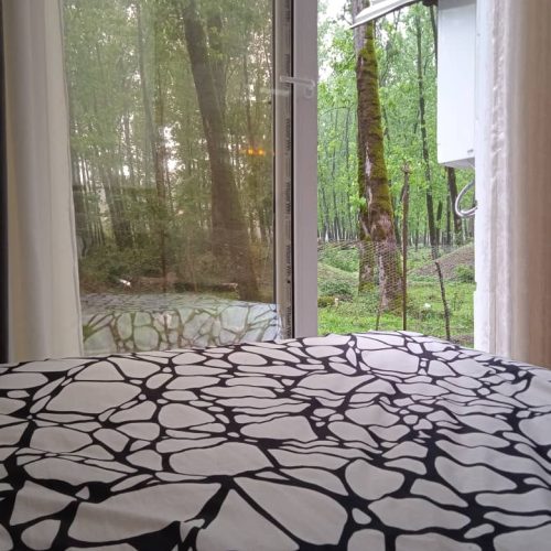 اجاره ویلا روستایی با ویو جنگل