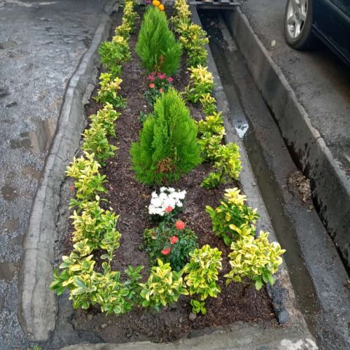 تمام خدمات باغبانی از صفر تا صد انجام می شود