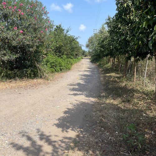 زمین باغی داری اب برق گاز