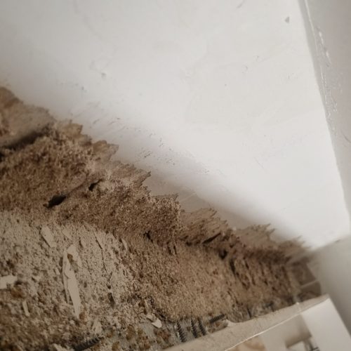 سمپاشی منازل و اماکن سم پاشی سوسک موش موریانه تضمینی