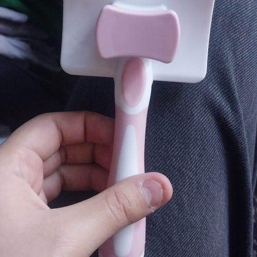 باکس گربه و بقیه وسیله هاش