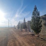 باغ پسته اختراباد