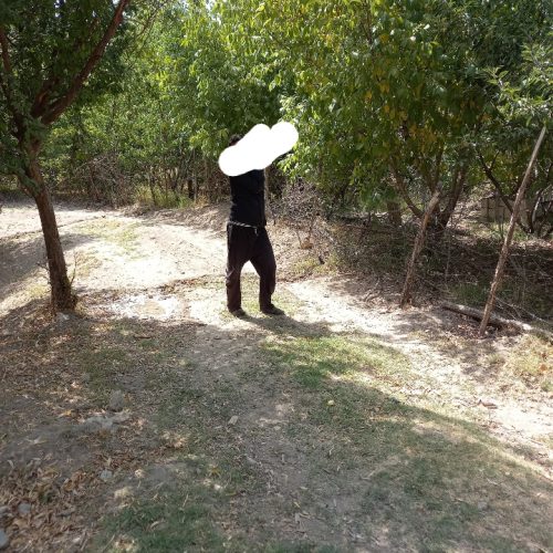 فروش باغ 20ساله