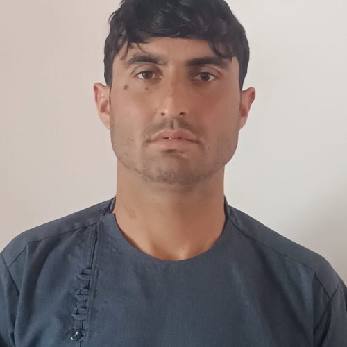 کسب کار اطلاعات