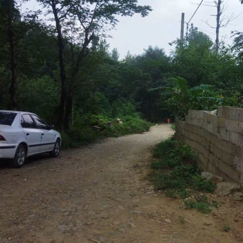 اجاره ویلا روزانه /در دل جنگل کوه و ردوخانه