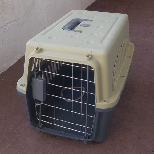 باکس گربه و بقیه وسیله هاش