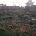 1001.67متر مربع زمین