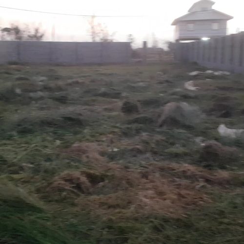 1001.67متر مربع زمین