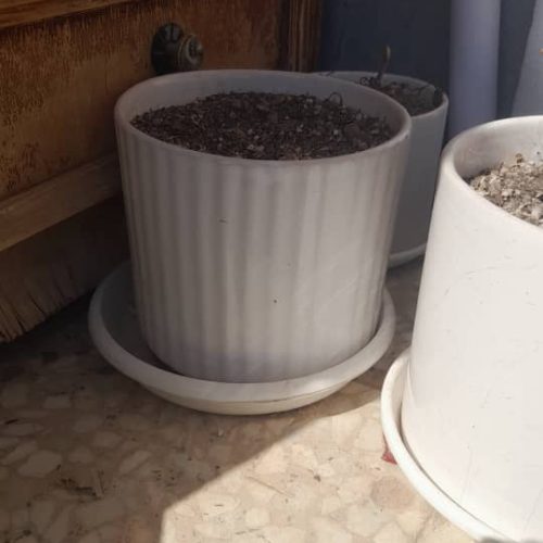 گلدان. سرامیکی