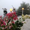 اجاره ویلا دربست دوهزار تنکابن مازندران