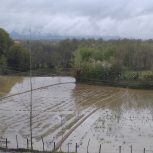 مشارکت و سرمایه گزاری در گردشگری