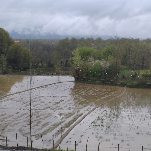 مشارکت و سرمایه گزاری در گردشگری