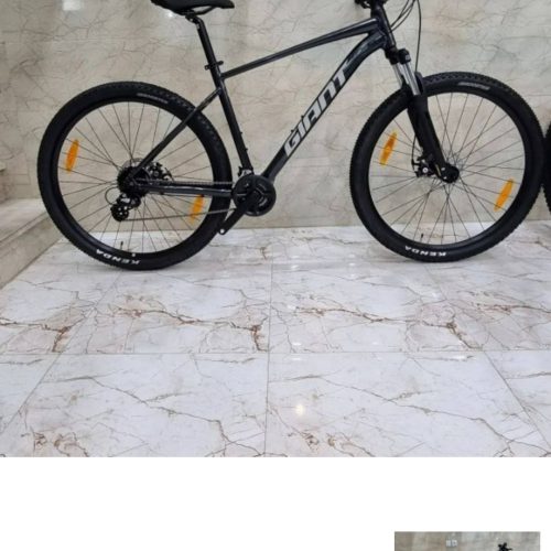 دو چرخه مدل جاینت سایز 29