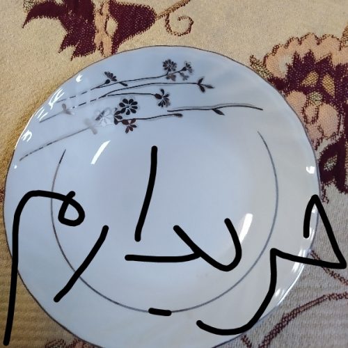 خریدار این طرح چینی