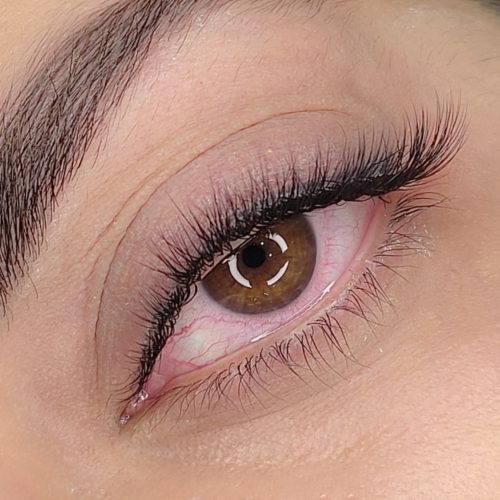 مدل برای اکستنشن والیوم