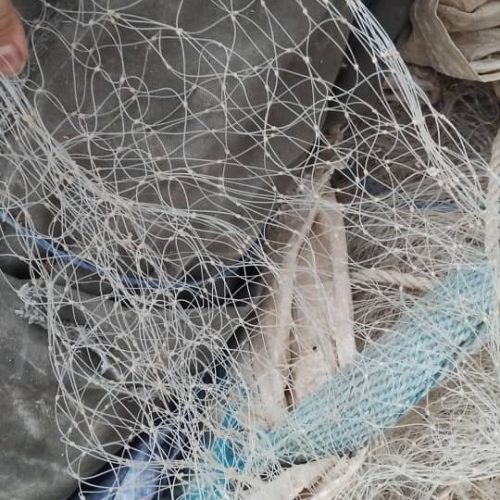 طور برتابی کزاری