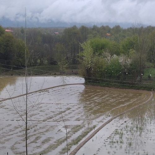 مشارکت و سرمایه گزاری در گردشگری