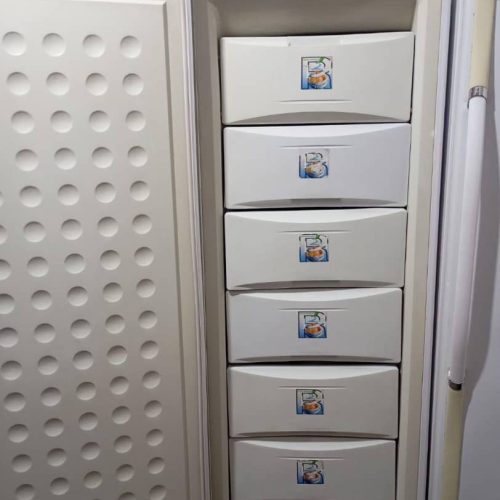 یخجال دو قلو الکترواستل سالم