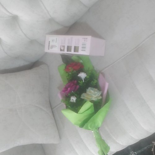 نظافت خانه مجردی