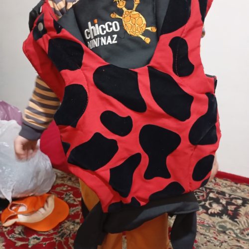 کالسکه و روروئک واغوشی