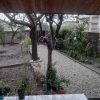 اجاره روزانه ویلا جنگلی و ساحلی
