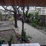 اجاره روزانه ویلا جنگلی و ساحلی