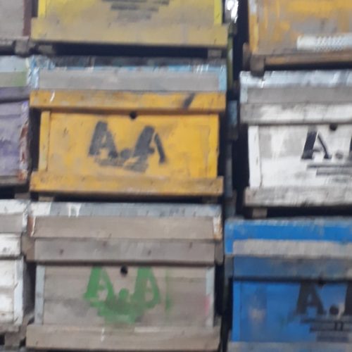 زنبورداری