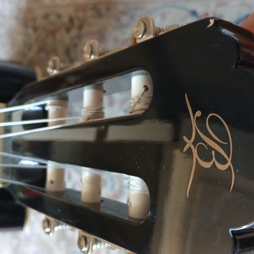 گیتار پیکاپ خور