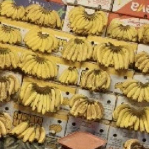 فروش فلات  3چرخ.