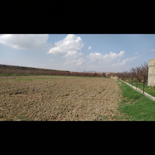 اجاره زمین کشاورزی