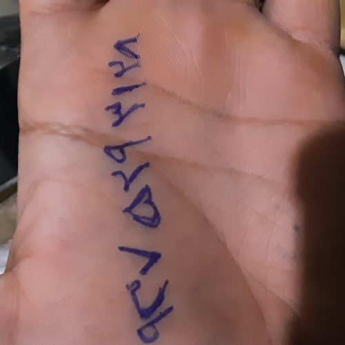 سگ پا کوتاه اشپیتز ترییر7.8ماهه واگذاری یا معاوضه