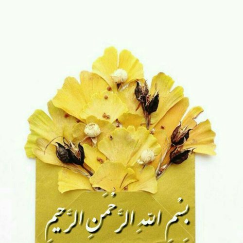 نظافت منازل وراه پله