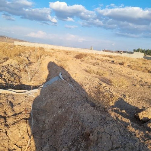 باغ پسته اختراباد