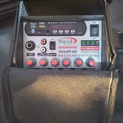 مینی باند مداحی ومیکروفن