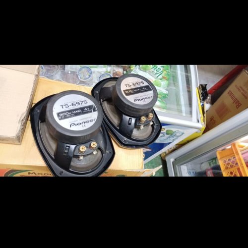 باند پایونر