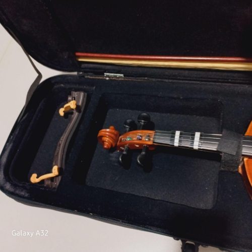 ویولن(ویالن)