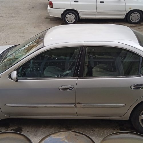 ماکسیما نقره ای