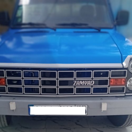 فروش زامیاد خشک چراغ جدید SVPDH