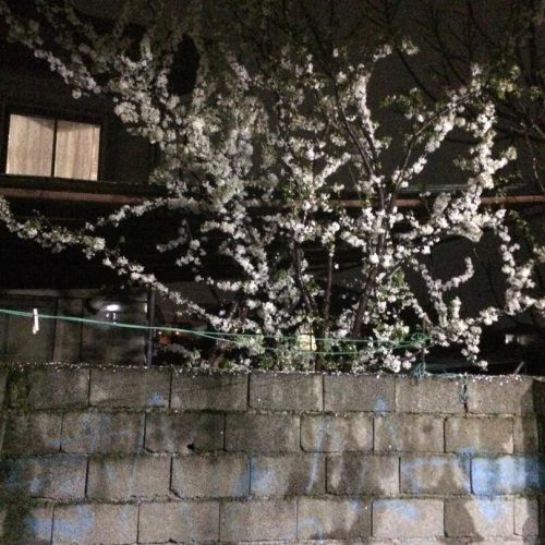 خانه ویلایی