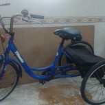 سه چرخ تایتانیک (بزرگسال)